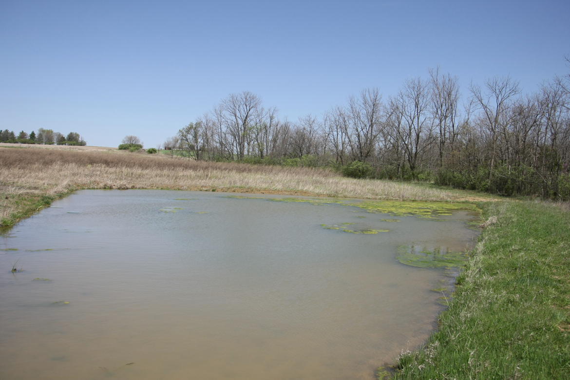 Full Size Image = 5058 K