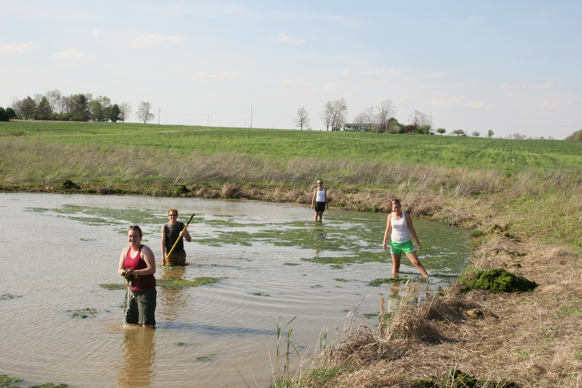 Full Size Image = 1764 K