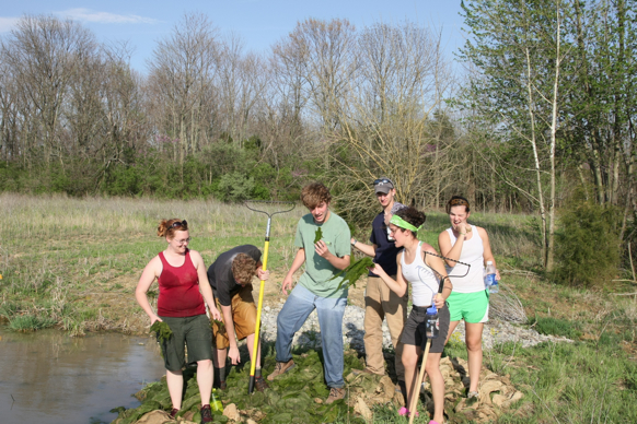 Full Size Image = 2405 K