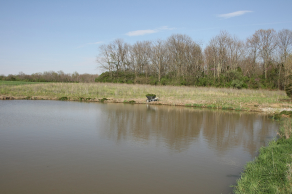 Full Size Image = 1494 K