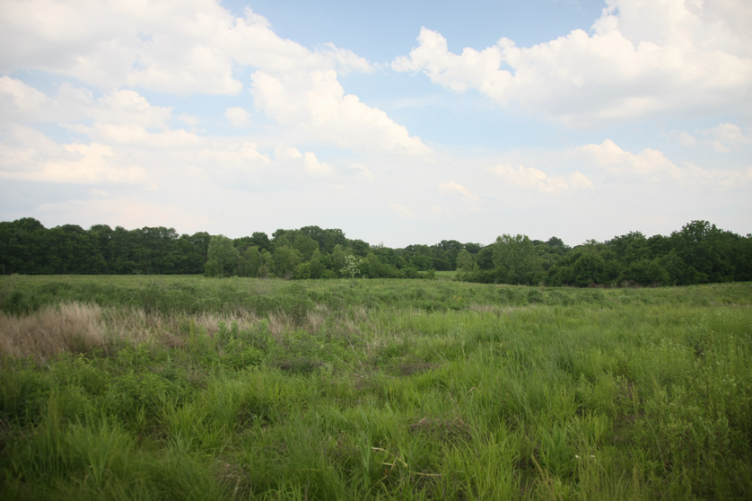 Full Size Image = 3503 K