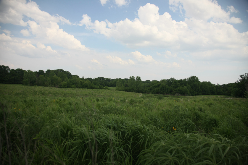 Full Size Image = 3239 K