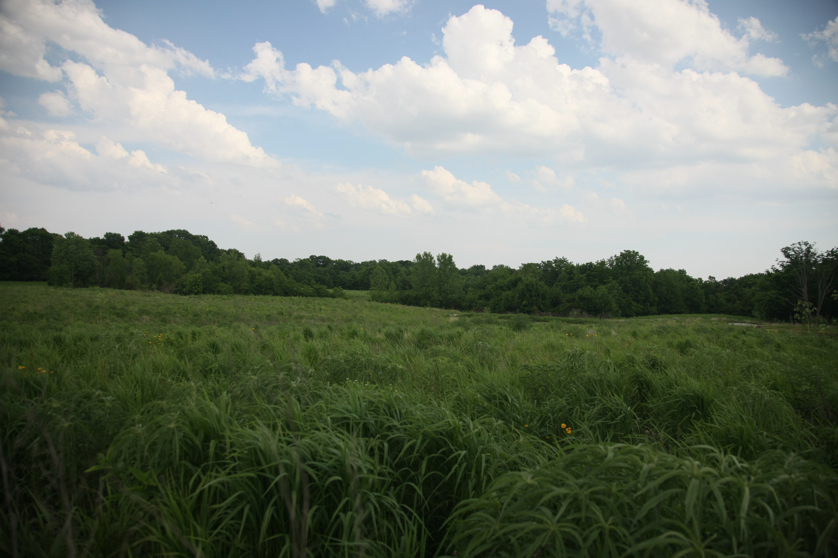 Full Size Image = 3246 K