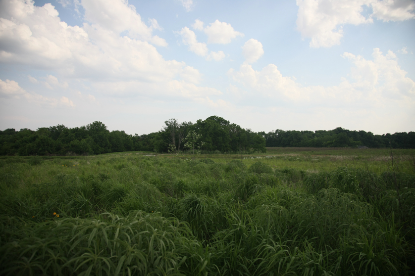 Full Size Image = 3351 K