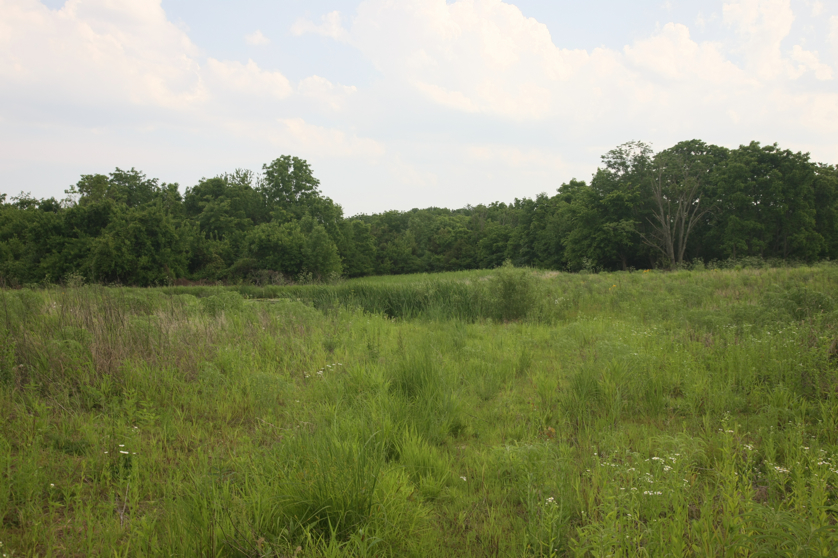 Full Size Image = 4516 K