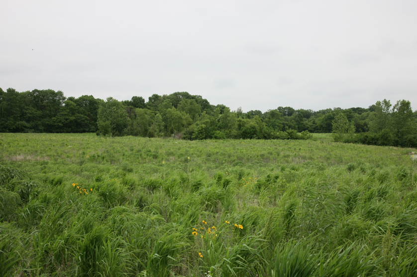 Full Size Image = 4559 K