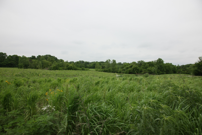 Full Size Image = 3229 K