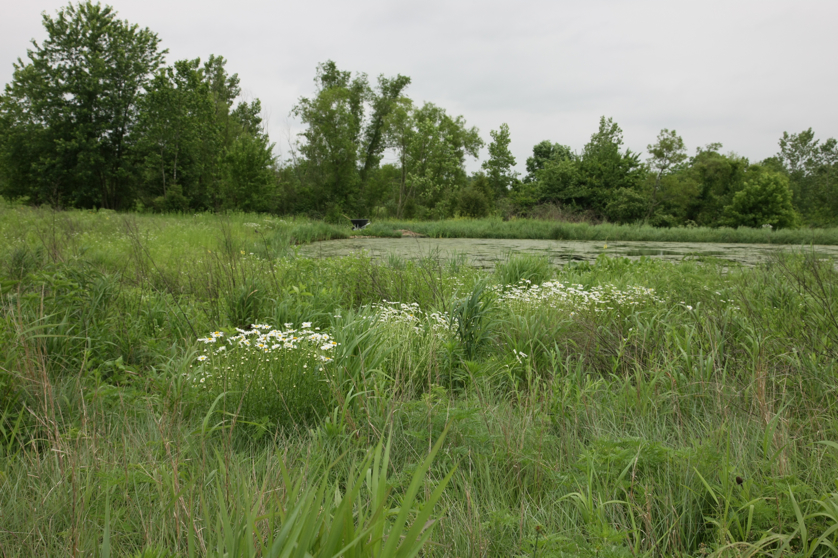 Full Size Image = 4941 K