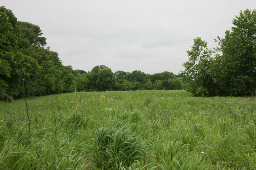 Full Size Image = 4627 K