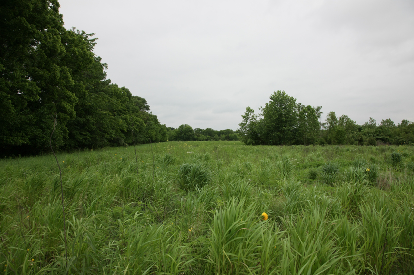 Full Size Image = 4455 K