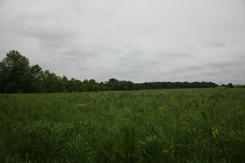 Full Size Image = 3489 K