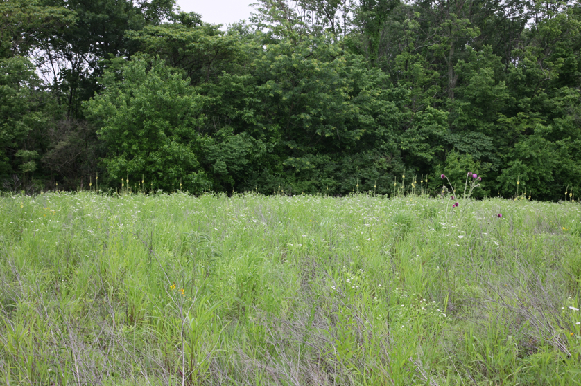 Full Size Image = 6618 K