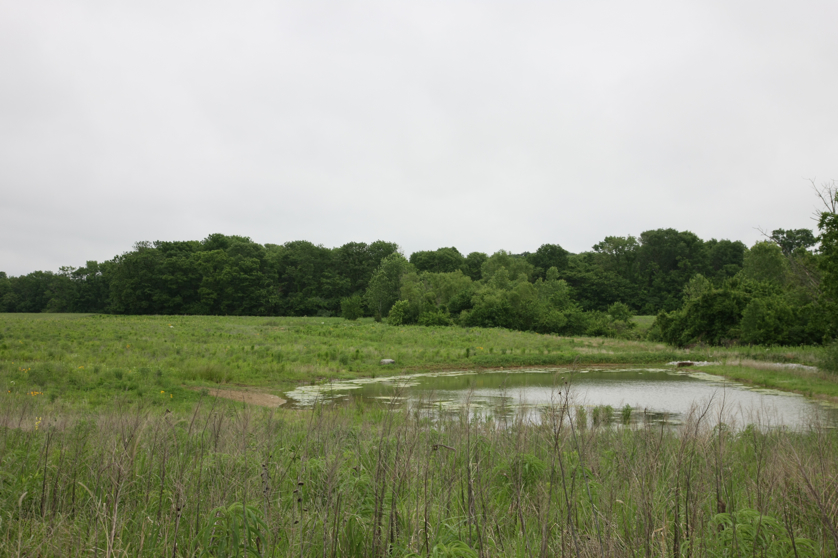 Full Size Image = 3846 K