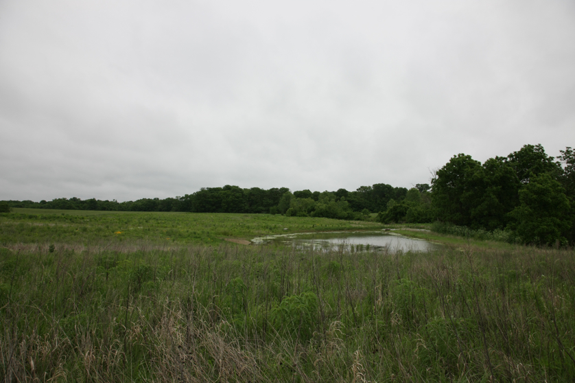 Full Size Image = 3750 K