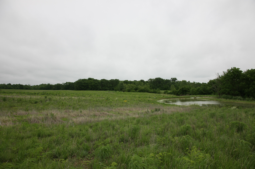 Full Size Image = 3756 K