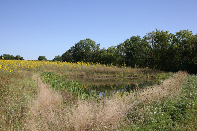 Full Size Image = 5712 K