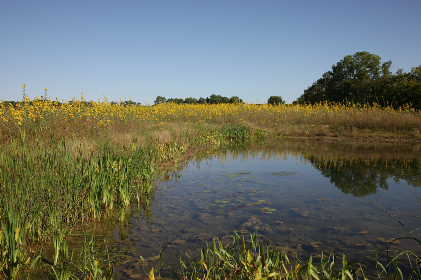 Full Size Image = 4873 K