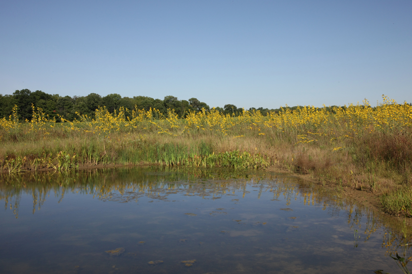 Full Size Image = 4305 K