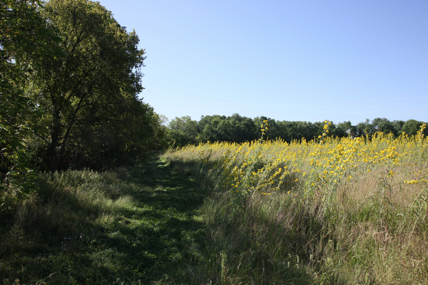 Full Size Image = 5757 K