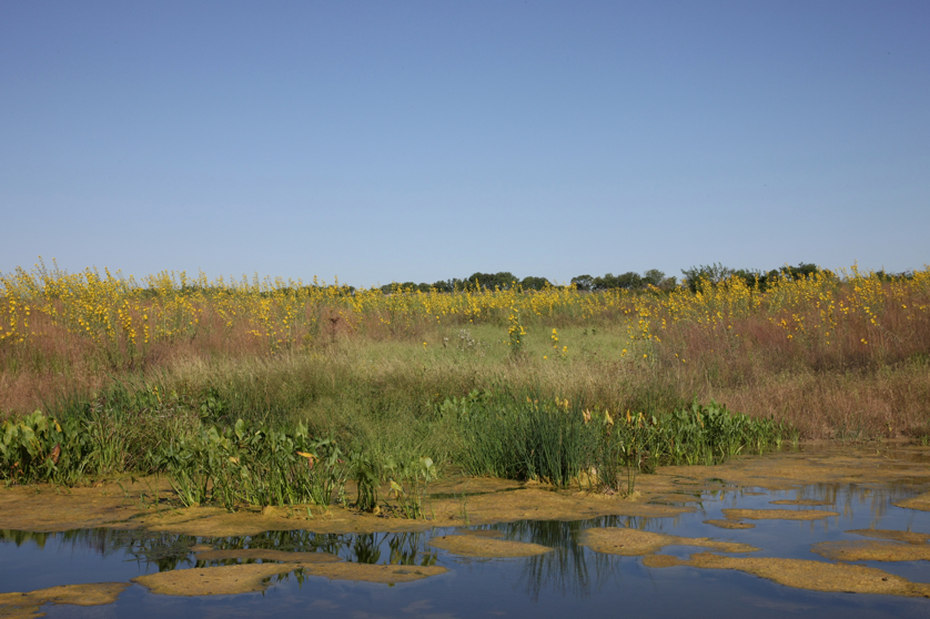 Full Size Image = 4482 K