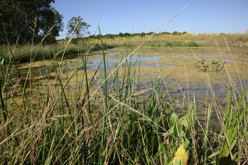 Full Size Image = 5586 K