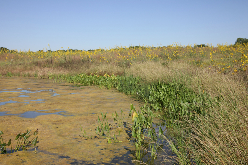 Full Size Image = 5473 K