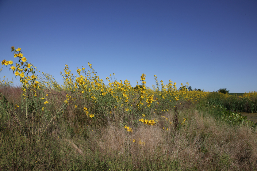 Full Size Image = 5304 K