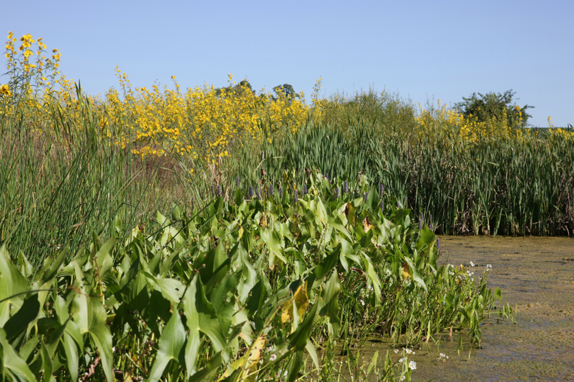 Full Size Image = 5489 K