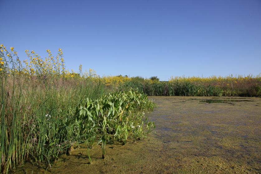 Full Size Image = 5100 K