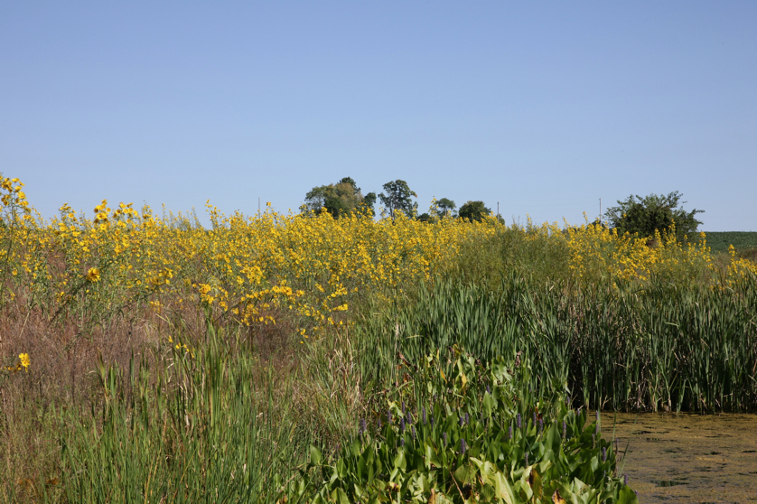 Full Size Image = 5473 K