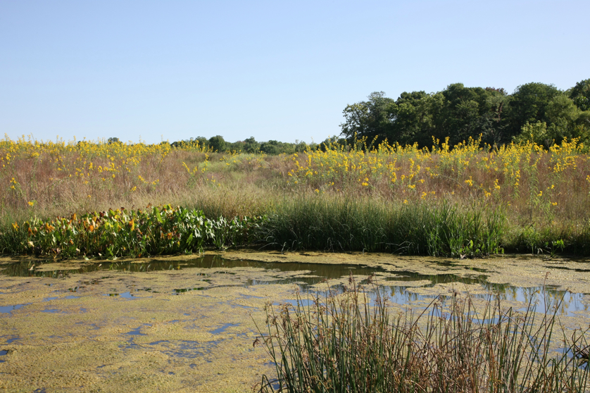 Full Size Image = 5908 K