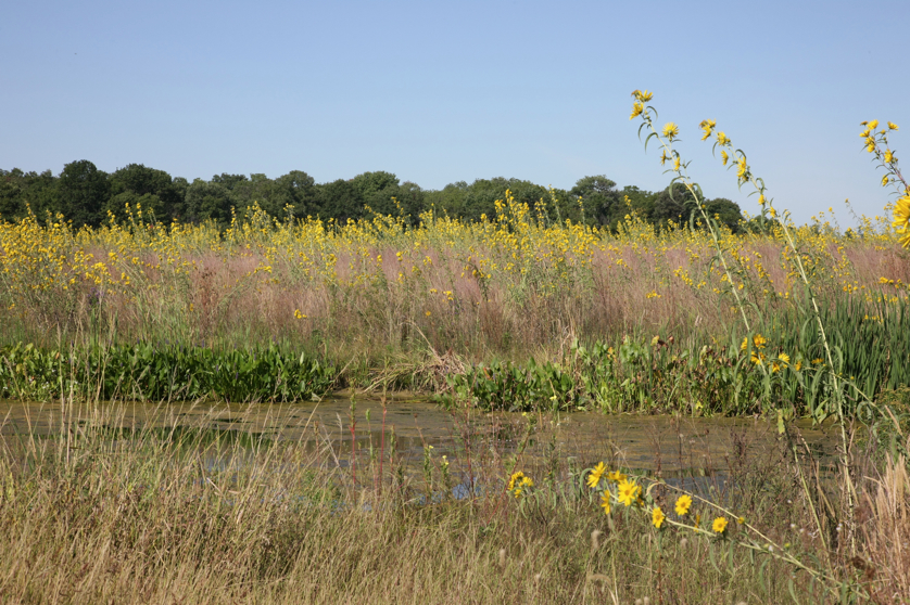 Full Size Image = 5934 K