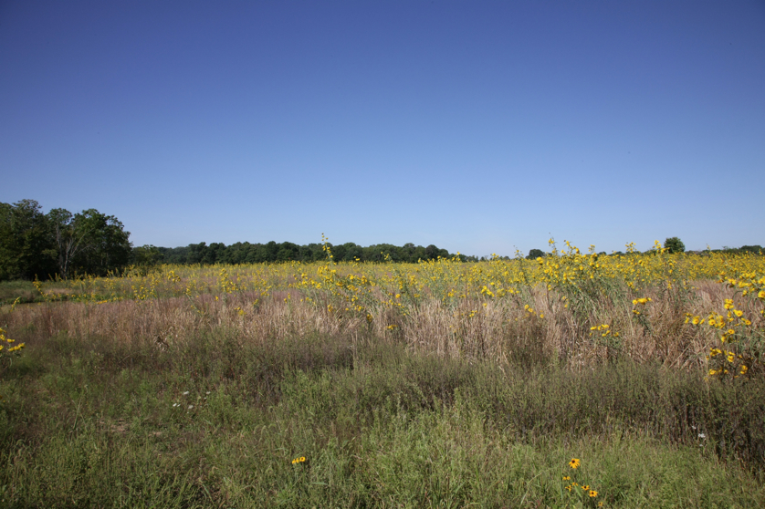 Full Size Image = 5043 K