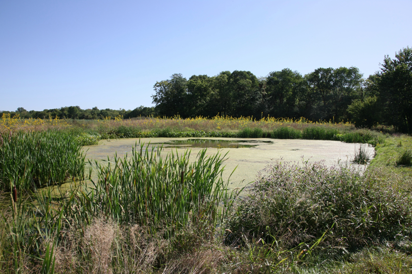 Full Size Image = 5926 K