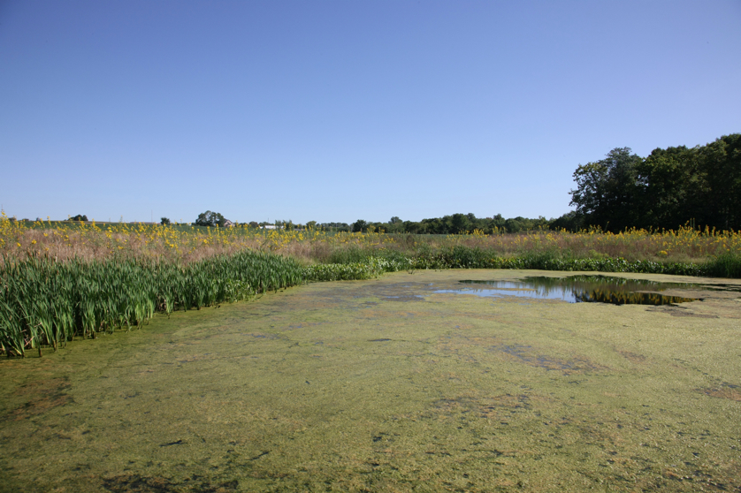 Full Size Image = 4845 K