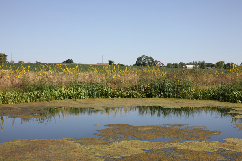 Full Size Image = 4772 K