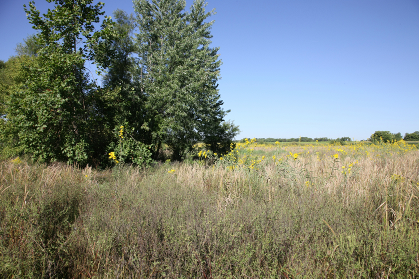 Full Size Image = 6830 K