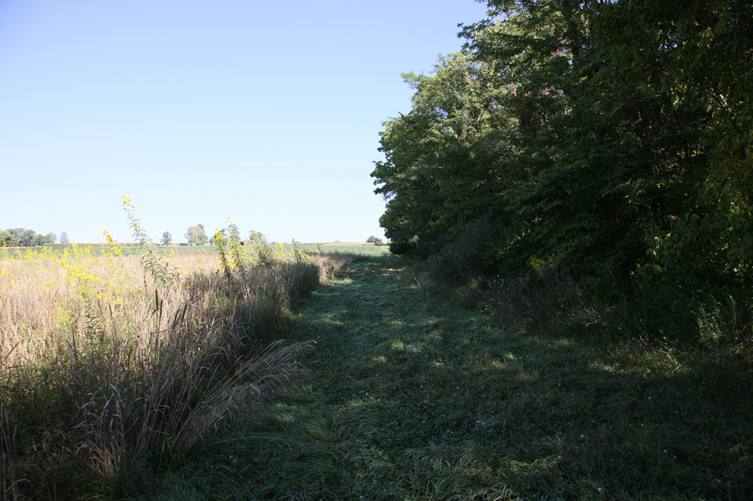 Full Size Image = 5145 K