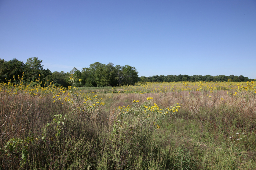 Full Size Image = 5493 K