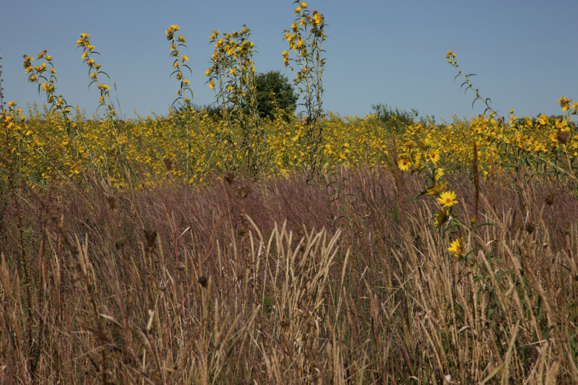 Full Size Image = 5564 K