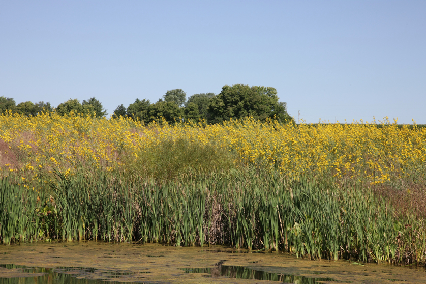 Full Size Image = 5794 K