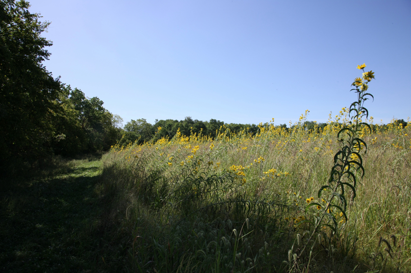 Full Size Image = 4850 K