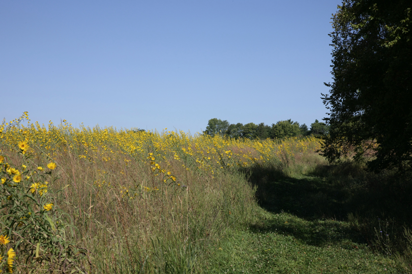 Full Size Image = 4769 K