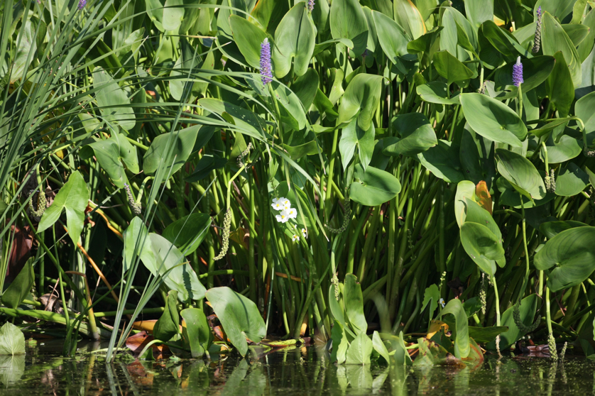 Full Size Image = 5127 K