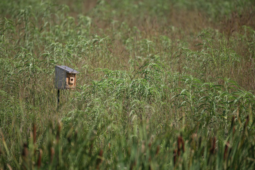 Full Size Image = 5030 K