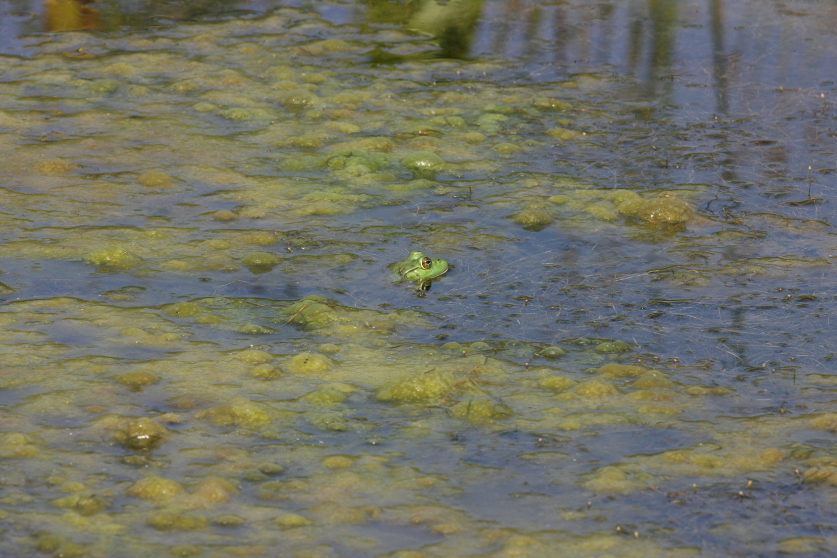 Full Size Image = 14761 K