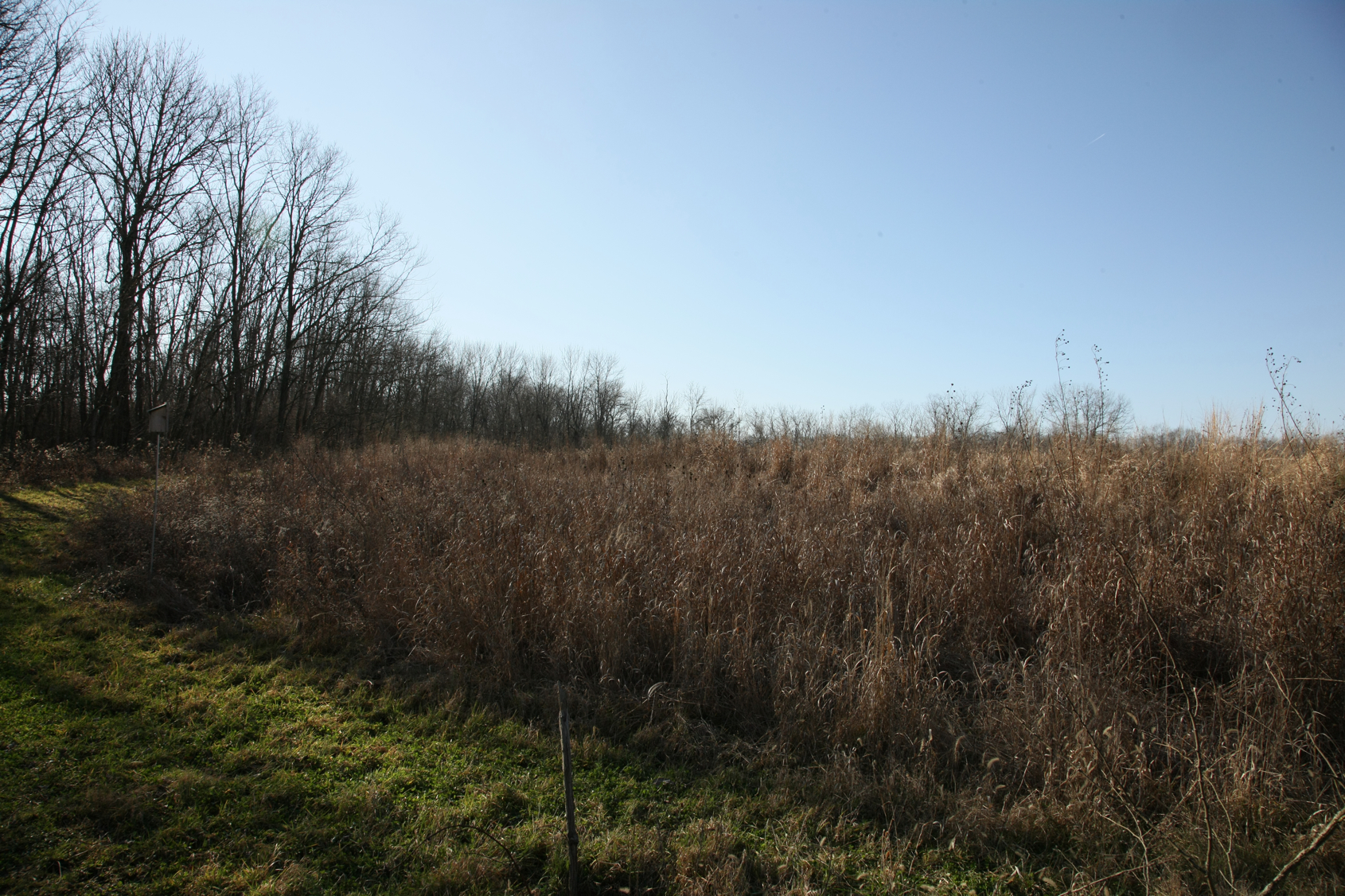 Full Size Image = 17611 K