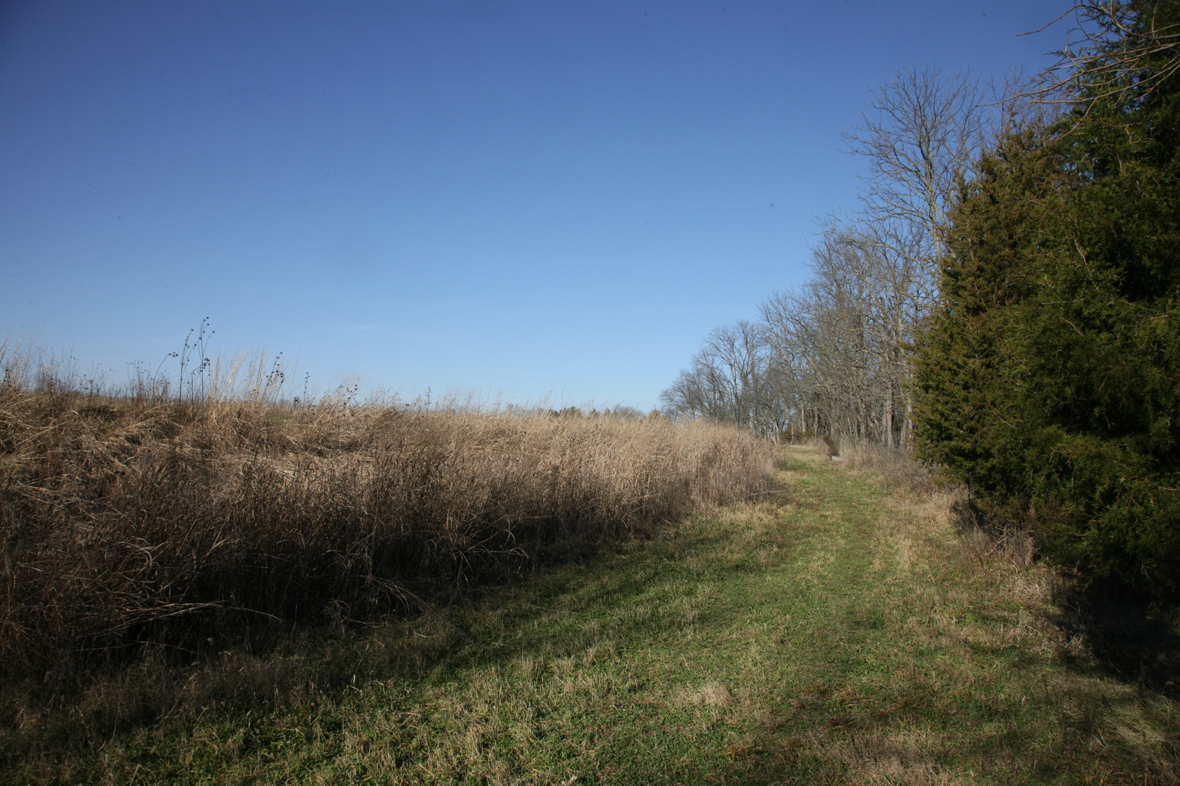 Full Size Image = 16915 K