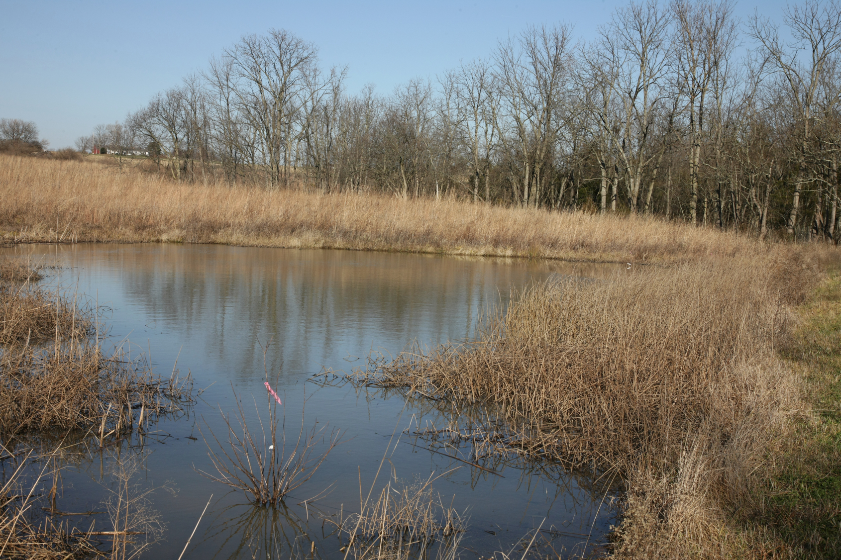 Full Size Image = 20155 K