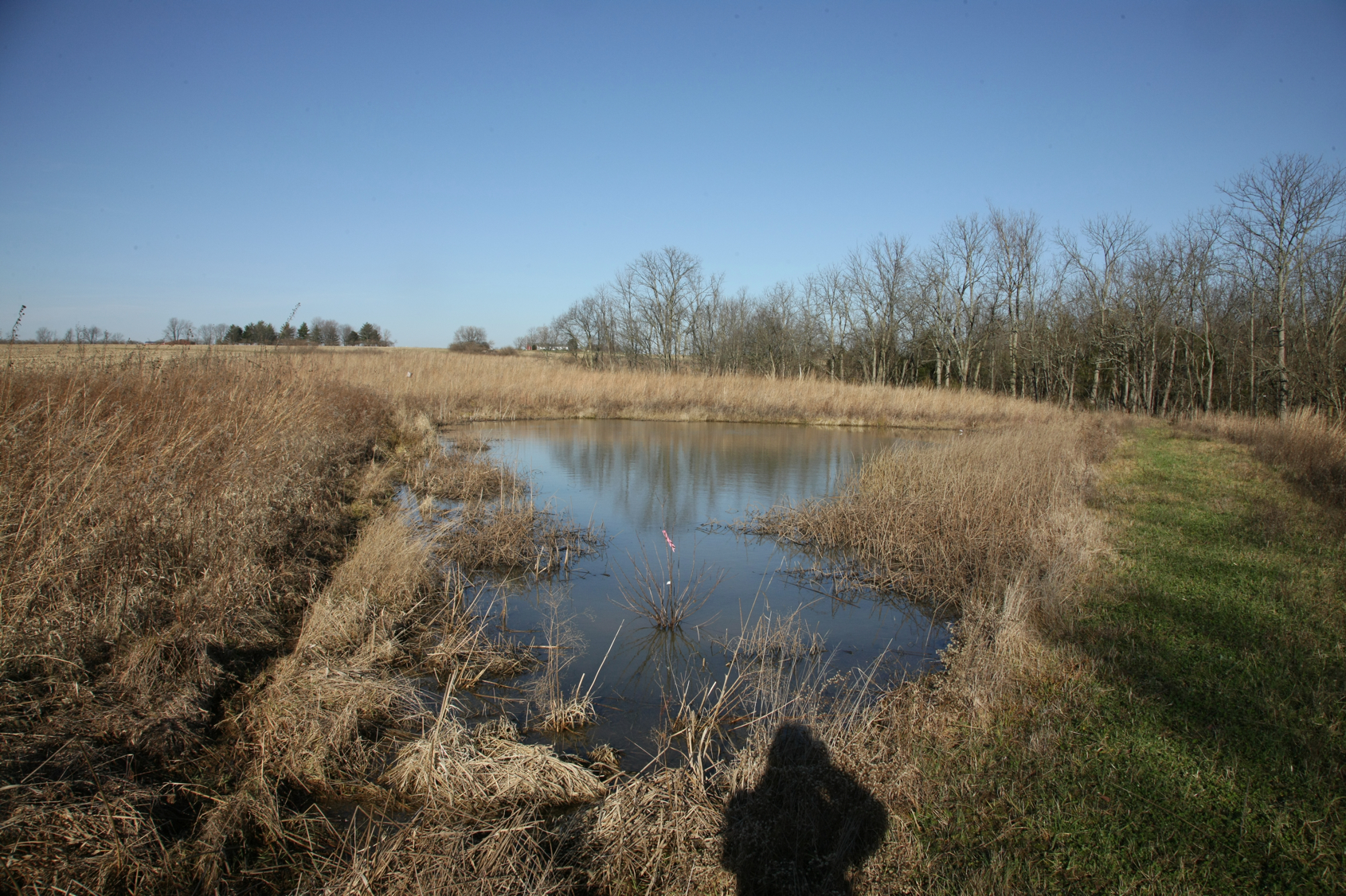 Full Size Image = 18102 K